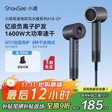 小适11万转高速电吹风机家用风筒高浓度负离子护发大风力速干降噪无刷电吹风送女友/家人礼物A18-GY 