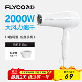 飞科（FLYCO）电吹风机家用发廊大功率2000W速干恒温便携可折叠白色FH6232