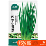 北蔬四季小葱小香葱种子种苗家庭种植蔬菜种籽 四季小香葱种子2000粒