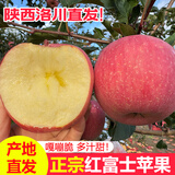 生活＆好管家洛川苹果红富士苹果25年新果 陕西延安特产时令生鲜水果礼盒 净重8.5斤单果280g+