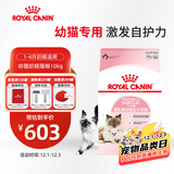 皇家幼猫奶糕 幼猫猫粮 BK34 通用粮 1-4月 10KG