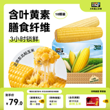 北纬47度杂粮礼盒 4斤 黄糯鲜玉米5根+白糯鲜玉米5根 早餐苞米礼盒装
