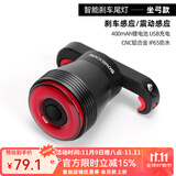 洛克兄弟（ROCKBROS）自行车尾灯USB充电骑行安全夜骑车灯警示灯公路山地车尾灯配件 智能感应续航更长 Q5(座弓款)