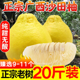 趣觅鲜正宗容县沙田柚产地直发广西特产纯甜无酸老树白肉柚子新鲜水果 20斤带箱9-11个礼盒装