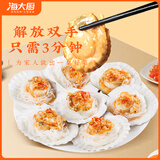 海大厨 冷冻蒜蓉粉丝扇贝 200g*3（18只） 海鲜水产 户外烧烤