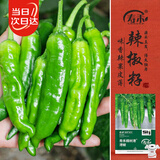 寿禾 樟树港辣椒种子种苗湖南二荆条蔬菜籽 寿禾樟树港辣椒种子60粒