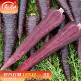 寿禾 天津沙窝萝卜种子秋冬季大全水果青罗卜季长白寿光蔬菜菜籽种孑 紫胡萝卜种子约150粒