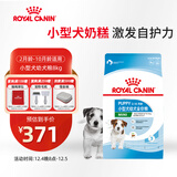 皇家狗粮幼犬狗粮幼犬奶糕宠物小型犬MIJ31全价犬粮2-10月8KG