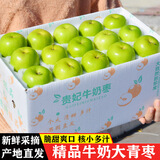 译优农【新鲜现摘】牛奶大青枣新鲜特大脆甜牛奶枣冬枣蜜枣应季水果 5斤 精选大果贵妃枣礼盒