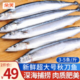 朵芙 新鲜秋刀鱼 4斤 净重独立包装刀鱼秋刀鱼烧烤食材海鲜水产 【尝鲜秋刀鱼】500g*2袋