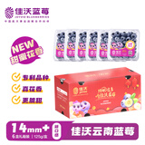 佳沃 JOYVIO云南蓝莓甜蜜花香系列 14mm+ 6盒礼盒装 约125g/盒 新鲜水果 
