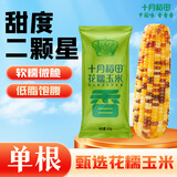 十月稻田 花甜糯玉米 1根 220g 早餐代餐 低脂杂粮