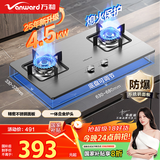 万和（Vanward）【B6·4.5kW】液化气燃气灶不锈钢烟灶联动家电以旧换新国家补贴20%嵌入家用煤气双炉具台B6B338XW