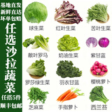 千牛优福沙拉蔬菜自选套餐组合轻食材新鲜混合生菜可生吃凉拌轻食西餐专用 羽衣甘蓝 250g