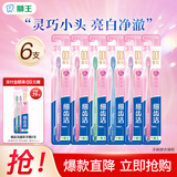 狮王（Lion）细齿洁经典牙刷国产细毛 软毛 超细毛深入清洁呵护牙龈成人家庭装 晶彩小头软毛牙刷* 6支 （两支/板）
