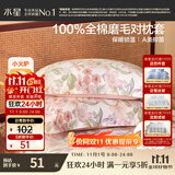 水星家纺枕套纯棉100%全棉秋冬磨毛加厚A类枕头套枕芯保护套一对装48x74cm