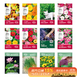 寿禾 花种子大全四季易活小麦草太阳花碗莲向日葵 12种花种子花草套餐