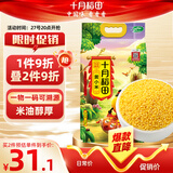 十月稻田 黄小米 5斤 可溯源 五谷杂粮 粥米 早餐小米粥 2.5kg