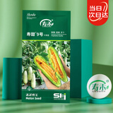 寿禾 山东羊角蜜种子苗秋季甜瓜香瓜种籽 潍育寿甜9号羊角蜜种子200粒