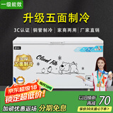 北极川冰柜商用智能温控卧式大容量冷柜家用冷藏冷冻展示柜冰箱保鲜柜雪糕柜 五面制冷|长1.45米单门|升级内胆智能铜管白单温