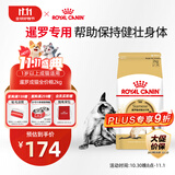 皇家暹罗成猫 SM38 通用粮 12月以上 2KG