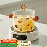 忆壶茶玻璃炖锅明火耐高温高硼硅玻璃消毒锅玻璃锅汤锅电陶炉专用锅家用 2.4L炖锅+1300瓦8档电陶炉 16cm