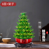 京云梦竹塔富贵竹盆栽年宵水培节节高转运宝塔客厅8层陶瓷架子源头直发