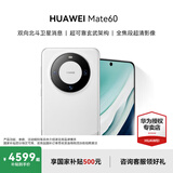 HUAWEI Mate 60 国家补贴500元 超可靠玄武架构 华为mate60鸿蒙智能手机 白沙银 12G+1TB