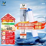 道尔顿（Doulton）【英国原装进口】净水器滤芯 KDF DIP301专用适配滤芯BioTect Ultra 9004型