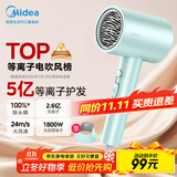 美的（Midea）5亿等离子护发电吹风 家电国家补贴吹风筒 1800W大功率 负离子吹风机 FJ308 节日/生日礼物推荐