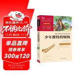 少年维特的烦恼(中小学课外阅读 无障碍阅读) 