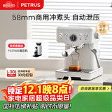 柏翠(petrus)【政府补贴】咖啡机意式浓缩家用小型半自动蒸汽打奶泡PE3833 海盐小方
