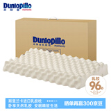 邓禄普（Dunlopillo）ECO颗粒按摩低波浪枕 斯里兰卡进口天然乳胶枕头