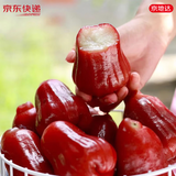 京地达海南黑金刚莲雾 礼盒装空运 净重5斤单果100g+源头直发包邮