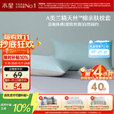 水星家纺枕套兰精天丝™棉凉感枕头套A类一对装枕头罩双人家用48x74cm