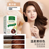 章华（SAVOL）生态焗油染发霜遮盖白发染发剂棕黑色染发膏男女自己在家染焗油膏 栗子棕色