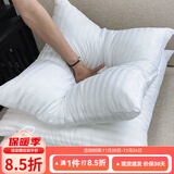 钟爱一生简约抱枕芯沙发靠枕芯多尺寸靠垫内胆正方形靠背 50*50cm条纹500g 单件