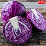 京地达山东新鲜紫甘蓝 净重4.5斤 单颗500g+ 源头直发包邮