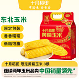 十月稻田 黄糯玉米 3.52斤(220g*8根) 东北粘苞米 早餐零食 蛇年限定