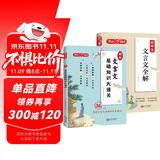 初中文言文基础知识大通关+文言文全解（2册）中学语文同步教材古文阅读理解文学常识考点归纳真题训练