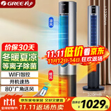 格力（GREE）暖风机冷暖两用塔扇家用冷暖风机摇头无叶风扇暖风机卧室客厅落地扇智能遥控电暖器 FL-1001RBag