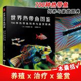 世界热带鱼图鉴：700种热带鱼饲养与鉴赏图典 赏鱼选鱼养鱼 高清全彩图谱水族箱鱼缸造景繁殖科普入门 鱼类百科 养鱼技术家庭养鱼观赏鱼养殖