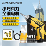 绿林（GREENER）电动螺丝刀充电式小型家用电钻多功能迷你锂电电批枪工具套装