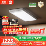 米家智能晾衣机2 Pro 【国家补贴】小米电动隐形晾衣架3D曲面穹顶灯