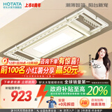 好太太（Hotata） 电动晾衣架智能自动升降晒被阳台晾衣架室外衣服架伸缩晾衣杆 D-3082T：超薄大屏+语音+奶油风