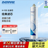 爱惠浦（Everpure）家用净水器一体机净水器滤芯主滤芯 H-100C主滤芯