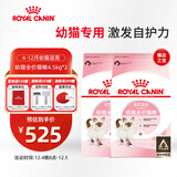 皇家猫粮 幼猫猫粮 幼猫奶糕 K36 通用粮 4-12月 4.5KG*2