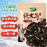 十月稻田 东北秋木耳 500g 黑木耳 小碗耳 干木耳 肉厚无根 火锅煲汤食材