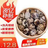 鲜窝窝 新鲜生鹌鹑蛋 鹑鸟蛋生鲜鹌鹑蛋富含高蛋白早餐营养美味食品礼物 50枚