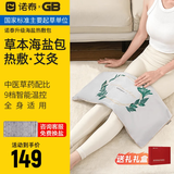 诺泰（nuotai）海盐热敷包盐袋粗盐包电加热艾灸盐袋子家用腰部膝盖肩颈理疗热敷 新升级-植愈系常规款【礼盒装】